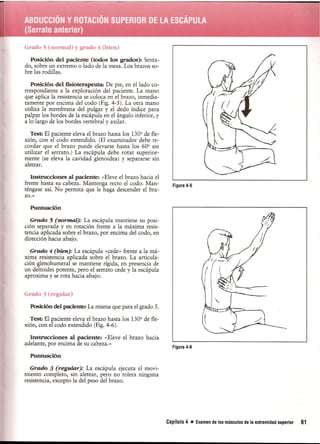 Pruebas Funcionales Musculares  Daniels 6a Edicion