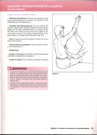 Pruebas Funcionales Musculares  Daniels 6a Edicion