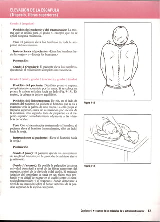 Pruebas Funcionales Musculares  Daniels 6a Edicion