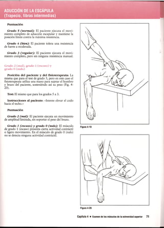 Pruebas Funcionales Musculares  Daniels 6a Edicion