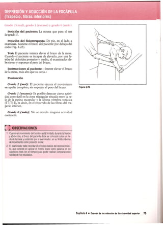 Pruebas Funcionales Musculares  Daniels 6a Edicion