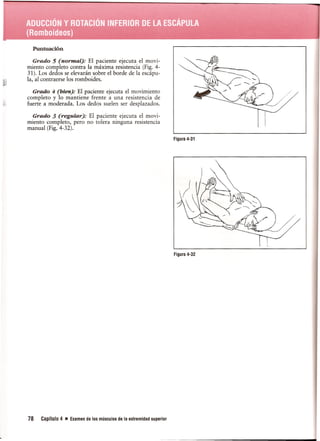 Pruebas Funcionales Musculares  Daniels 6a Edicion