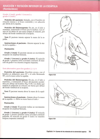 Pruebas Funcionales Musculares  Daniels 6a Edicion