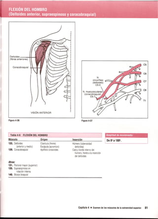 Pruebas Funcionales Musculares  Daniels 6a Edicion
