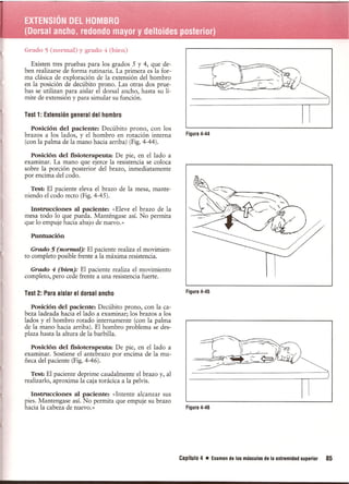 Pruebas Funcionales Musculares  Daniels 6a Edicion