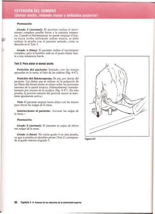 Pruebas Funcionales Musculares  Daniels 6a Edicion