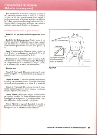 Pruebas Funcionales Musculares  Daniels 6a Edicion
