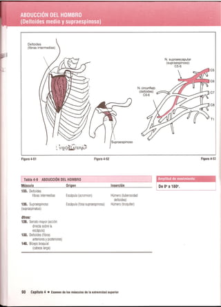 Pruebas Funcionales Musculares  Daniels 6a Edicion