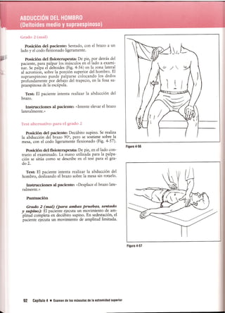 Pruebas Funcionales Musculares  Daniels 6a Edicion