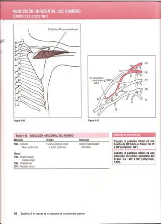 Pruebas Funcionales Musculares  Daniels 6a Edicion