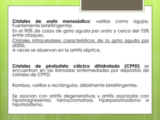 Cristales de urato monosódico: varillas como agujas.
Fuertemente birrefringentes.
En el 90% de casos de gota aguda por urato y cerca del 75%
entre ataques.
Cristales intracelulares característicos de la gota aguda por
urato.
A veces se observan en la artritis séptica.
Cristales de pirofosfato cálcico dihidratado (CPPD) se
encuentran en las llamadas enfermedades por depósitos de
cristales de CPPD.
Rombos, varillas o rectángulos, débilmente birrefringentes.
Se asocian con artritis degenerativas y artritis asociadas con
hipomagnesemia, hemocromatosis, hiperparatiroidismo e
hipotiroidismo.

 