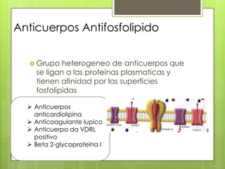 Anticuerpos Antifosfolipido
 Grupo

heterogeneo de anticuerpos que
se ligan a las proteinas plasmaticas y
tienen afinidad por las superficies
fosfolipidas

 Anticuerpos
anticardiolipina
 Anticoagulante lupico
 Anticuerpo da VDRL
positivo
 Beta 2-glycoproteina I

 