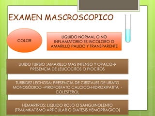 EXAMEN MASCROSCOPICO
COLOR

LIQUIDO NORMAL O NO
INFLAMATORIO ES INCOLORO O
AMARILLO PALIDO Y TRANSPARENTE

LIUIDO TURBIO :AMARILLO MAS INTENSO Y OPACO
PRESENCIA DE LEUCOCITOS O PIOCITOS
TURBIDEZ LECHOSA: PRESENCIA DE CIRSTALES DE URATO
MONOSÓDICO –PIROFOSFATO CALCICO-HIDROXIPATITA COLESTEROL
HEMARTROS: LIQUIDO ROJO O SANGUINOLENTO
(TRAUMKATISMO ARTICULAR O DIATESIS HEMORRAGICO)

 