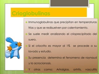 Crioglobulinas


Immunoglobulinas que precipitan en temperaturas
frías y que se redisuelven por calentamiento.



Se suele medir analizando el crioprecipitado del
suero.



Si el criocrito es mayor al 1%

se procede a su

lavado y estudio.


Su presencia determina el fenomeno de raynaud
y la acrocianosis.



Y

otras

como:

Artralgias,

artritis,

vasculitis

 