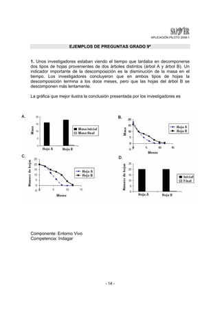 APLICACIÓN PILOTO 2008-1 
EJEMPLOS DE PREGUNTAS GRADO 9º 
1. Unos investigadores estaban viendo el tiempo que tardaba en decomponerse 
dos tipos de hojas provenientes de dos árboles distintos (árbol A y árbol B). Un 
indicador importante de la descomposición es la disminución de la masa en el 
tiempo. Los investigadores concluyeron que en ambos tipos de hojas la 
descomposición termina a los doce meses, pero que las hojas del árbol B se 
descomponen más lentamente. 
La gráfica que mejor ilustra la conclusión presentada por los investigadores es 
- 14 - 
Componente: Entorno Vivo 
Competencia: Indagar 
 