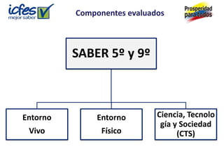 Componentes evaluados



          SABER 5º y 9º



Entorno        Entorno       Ciencia, Tecnolo
                              gía y Sociedad
 Vivo           Físico             (CTS)
 