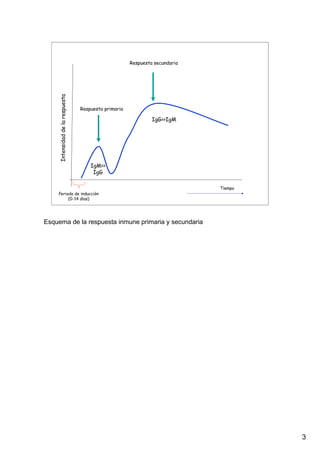3
Intensidaddelarespuesta
Tiempo
Respuesta primaria
Respuesta secundaria
Periodo de inducción
(0-14 días)
IgM>>
IgG
IgG>>IgM
Esquema de la respuesta inmune primaria y secundaria
 