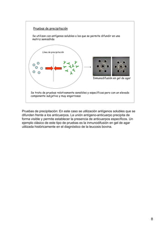 8
Pruebas de precipitación
Se utilizan con antígenos solubles a los que se permite difundir en una
matriz semisólida
Línea de precipitación
Se trata de pruebas relativamente sensibles y específicas pero con un elevado
componente subjetivo y muy engorrosas
Inmunodifusión en gel de agar
Pruebas de precipitación: En este caso se utilización antígenos solubles que se
difunden frente a los anticuerpos. La unión antígeno-anticuerpo precipita de
forma visible y permite establecer la presencia de anticuerpos específicos. Un
ejemplo clásico de este tipo de pruebas es la inmunodifusión en gel de agar
utilizada históricamente en el diagnóstico de la leucosis bovina.
 