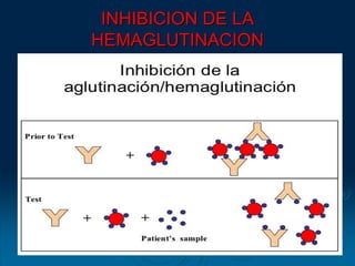 INHIBICION DE LA
HEMAGLUTINACION
 