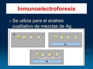 Se utiliza para el análisis
cualitativo de mezclas de Ag.
Inmunoelectroforesis
 