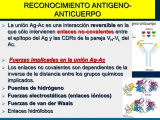 RECONOCIMIENTO ANTIGENO-
ANTICUERPO
 La unión Ag-Ac es una interacción reversible en la
que sólo intervienen enlaces no-covalentes entre
el epítopo del Ag y las CDRs de la pareja VH-VL del
Ac.
 Fuerzas implicadas en la unión Ag-Ac
 Los enlaces no covalentes son dependientes de la
inversa de la distancia entre los grupos químicos
implicados.
 Puentes de hidrógeno
 Fuerzas electrostáticas (enlaces iónicos)
 Fuerzas de van der Waals
 Enlaces hidrófobos
 