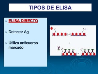  ELISA DIRECTO
 Detectar Ag
 Utiliza anticuerpo
marcado
TIPOS DE ELISA
 
