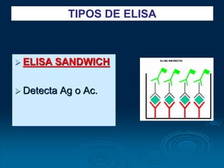  ELISA SANDWICH
 Detecta Ag o Ac.
TIPOS DE ELISA
 