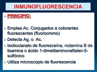 PRINCIPIO:
 Emplea Ac. Conjugados a colorantes
fluorescentes (fluorocromo)
 Detecta Ag. o Ac.
 Isotiocianato de fluoresceína, rodamina B de
lisamina o ácido 1-dimetilaminonaftalen-5-
sulfónico
 Utiliza microscopio de fluorescencia
INMUNOFLUORESCENCIA
 