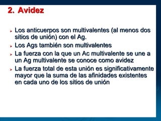 2. Avidez
 Los anticuerpos son multivalentes (al menos dos
sitios de unión) con el Ag.
 Los Ags también son multivalentes
 La fuerza con la que un Ac multivalente se une a
un Ag multivalente se conoce como avidez
 La fuerza total de esta unión es significativamente
mayor que la suma de las afinidades existentes
en cada uno de los sitios de unión
 