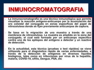 INMUNOCROMATOGRAFIA
 La inmunocromatografía es una técnica inmunológica que permite
visualizar la reacción antígeno-anticuerpo por la acumulación del
oro coloidal del conjugado en zonas específicas del papel de
nitrocelulosa donde se fijan previamente anticuerpos de captura.
 Se basa en la migración de una muestra a través de una
membrana de nitrocelulosa. La muestra es añadida en la zona del
conjugado, el cual está formado por un anticuerpo especifico
contra uno de los epítopos del antígeno a detectar y un reactivo
de detección.
 En la actualidad, esta técnica (pruebas o test rápidos) se viene
utilizando para el diagnóstico rápido de varias enfermedades, a
través de la detección de antígenos en diversos líquidos
biológicos, tales como en infecciones por virus de la hepatitis,
malaria, COVID-19, sífilis, Dengue, PSA, etc
 