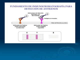 CLASE DE PRUEBAS SEROLOGICAS 2023-2024.ppt