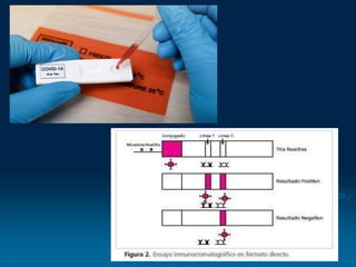 CLASE DE PRUEBAS SEROLOGICAS 2023-2024.ppt