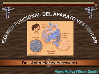 Dr. John Flores Fioravanti
 