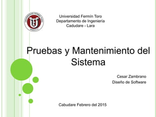 Pruebas y Mantenimiento del
Sistema
Cesar Zambrano
Diseño de Software
Universidad Fermín Toro
Departamento de Ingeniería
Cadudare - Lara
Cabudare Febrero del 2015
 
