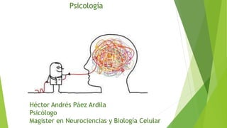 Psicología
Héctor Andrés Páez Ardila
Psicólogo
Magister en Neurociencias y Biología Celular
 
