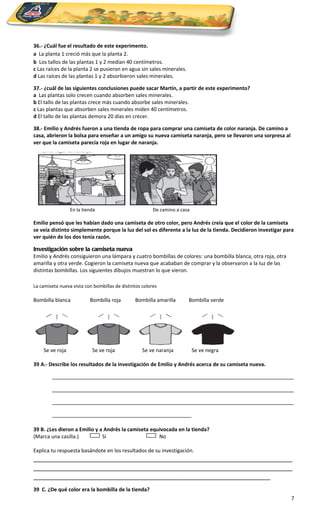 36.- ¿Cuál fue el resultado de este experimento.
a La planta 1 creció más que la planta 2.
b Los tallos de las plantas 1 y 2 medían 40 centímetros.
c Las raíces de la planta 2 se pusieron en agua sin sales minerales.
d Las raíces de las plantas 1 y 2 absorbieron sales minerales.

37.- ¿cuál de las siguientes conclusiones puede sacar Martín, a partir de este experimento?
a Las plantas solo crecen cuando absorben sales minerales.
b El tallo de las plantas crece más cuando absorbe sales minerales.
c Las plantas que absorben sales minerales miden 40 centímetros.
d El tallo de las plantas demora 20 días en crecer.

38.- Emilio y Andrés fueron a una tienda de ropa para comprar una camiseta de color naranja. De camino a
casa, abrieron la bolsa para enseñar a un amigo su nueva camiseta naranja, pero se llevaron una sorpresa al
ver que la camiseta parecía roja en lugar de naranja.




                 En la tienda                           De camino a casa

Emilio pensó que les habían dado una camiseta de otro color, pero Andrés creía que el color de la camiseta
se veía distinto simplemente porque la luz del sol es diferente a la luz de la tienda. Decidieron investigar para
ver quién de los dos tenía razón.

Investigación sobre la camiseta nueva
Emilio y Andrés consiguieron una lámpara y cuatro bombillas de colores: una bombilla blanca, otra roja, otra
amarilla y otra verde. Cogieron la camiseta nueva que acababan de comprar y la observaron a la luz de las
distintas bombillas. Los siguientes dibujos muestran lo que vieron.

La camiseta nueva vista con bombillas de distintos colores

Bombilla blanca           Bombilla roja        Bombilla amarilla       Bombilla verde




    Se ve roja             Se ve roja              Se ve naranja           Se ve negra

39 A.- Describe los resultados de la investigación de Emilio y Andrés acerca de su camiseta nueva.

        __________________________________________________________________
        __________________________________________________________________
        __________________________________________________________________
        ______________________________________
39 B. ¿Les dieron a Emilio y a Andrés la camiseta equivocada en la tienda?
(Marca una casilla.)          Sí                     No

Explica tu respuesta basándote en los resultados de su investigación.
_______________________________________________________________________
_______________________________________________________________________
_________________________________________________________________
39 C. ¿De qué color era la bombilla de la tienda?
                                                                                                               7
 