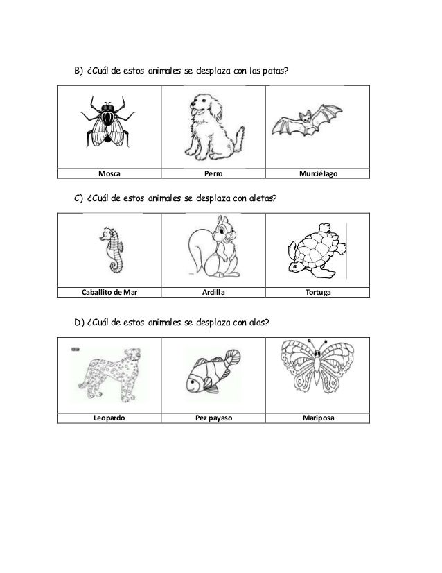 Prueba los animales 1º básico