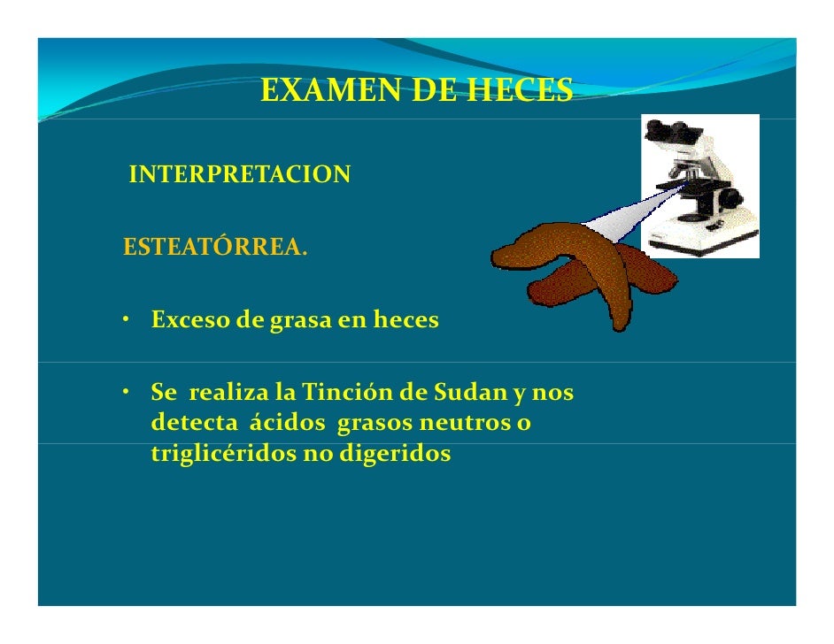 Prueba Funcionpancreatica Prueba Funcionpancreatica