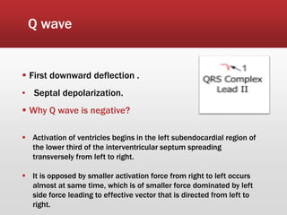 Q wave
 First downward deflection .
▪ Septal depolarization.
 Why Q wave is negative?
 Activation of ventricles begins in the left subendocardial region of
the lower third of the interventricular septum spreading
transversely from left to right.
 It is opposed by smaller activation force from right to left occurs
almost at same time, which is of smaller force dominated by left
side force leading to effective vector that is directed from left to
right.
 