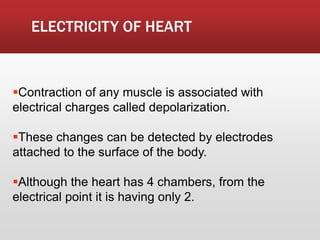 ELECTRICITY OF HEART
Contraction of any muscle is associated with
electrical charges called depolarization.
These changes can be detected by electrodes
attached to the surface of the body.
Although the heart has 4 chambers, from the
electrical point it is having only 2.
 