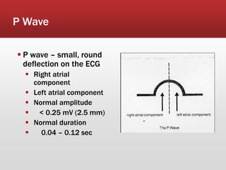 P Wave
 P wave – small, round
deflection on the ECG
 Right atrial
component
 Left atrial component
 Normal amplitude
 < 0.25 mV (2.5 mm)
 Normal duration
 0.04 – 0.12 sec
 