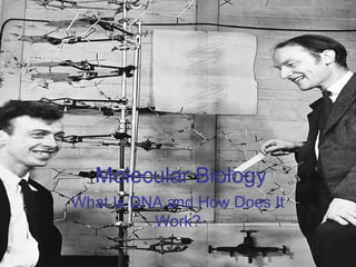 Molecular Biology
What Is DNA and How Does It
Work?
 