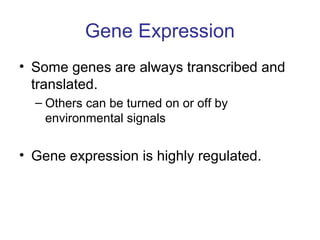 Gene Expression
• Some genes are always transcribed and
translated.
– Others can be turned on or off by
environmental signals
• Gene expression is highly regulated.
 
