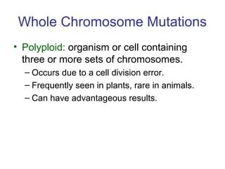 Whole Chromosome Mutations
• Polyploid: organism or cell containing
three or more sets of chromosomes.
– Occurs due to a cell division error.
– Frequently seen in plants, rare in animals.
– Can have advantageous results.
 