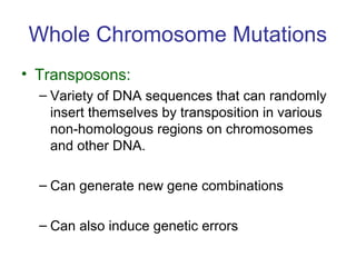 Whole Chromosome Mutations
• Transposons:
– Variety of DNA sequences that can randomly
insert themselves by transposition in various
non-homologous regions on chromosomes
and other DNA.
– Can generate new gene combinations
– Can also induce genetic errors
 