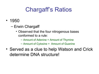 Chargaff’s Ratios
• 1950
– Erwin Chargaff
• Observed that the four nitrogenous bases
conformed to a rule:
– Amount of Adenine = Amount of Thymine
– Amount of Cytosine = Amount of Guanine
• Served as a clue to help Watson and Crick
determine DNA structure!
 
