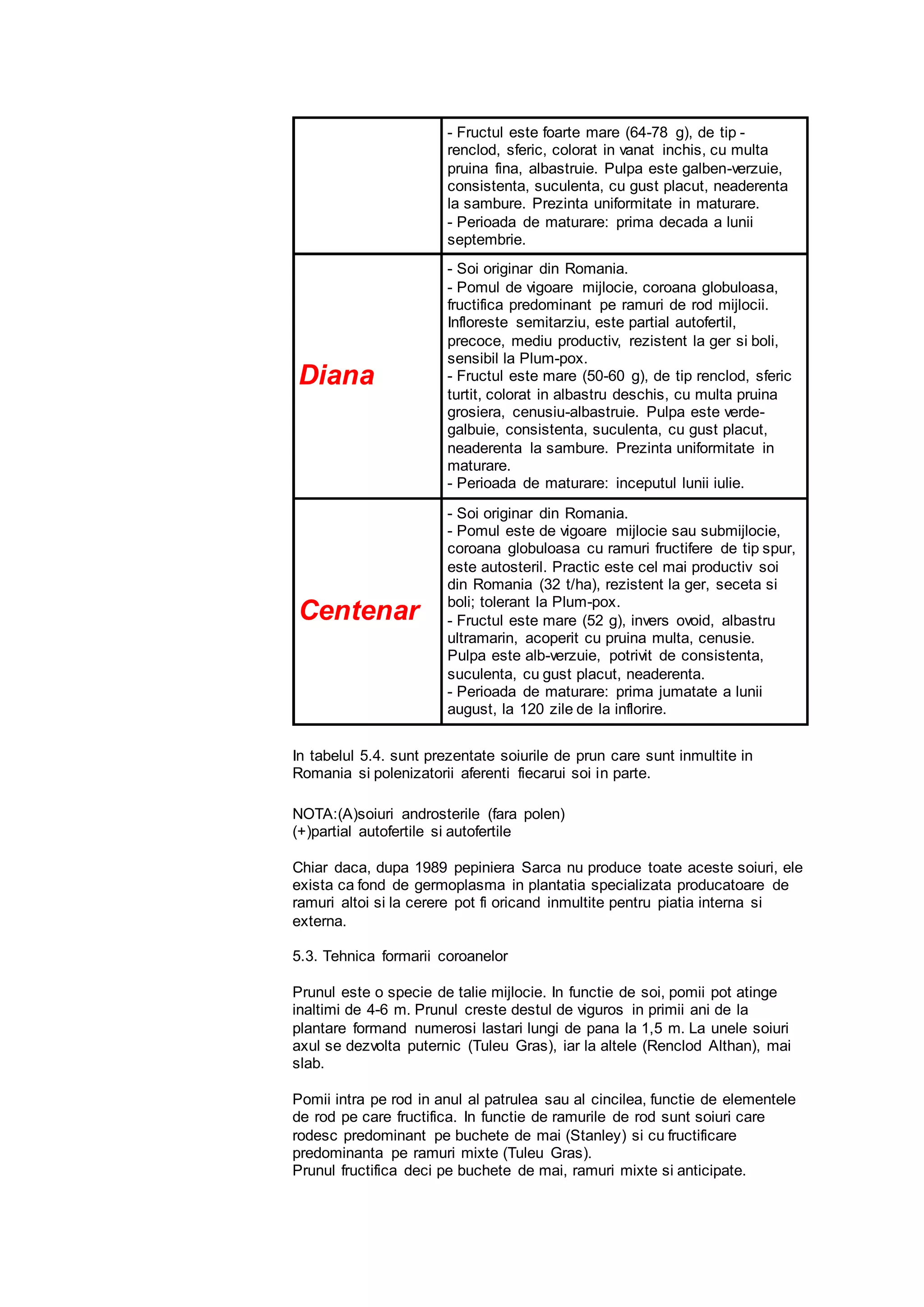 - Fructul este foarte mare (64-78 g), de tip -
renclod, sferic, colorat in vanat inchis, cu multa
pruina fina, albastruie. Pulpa este galben-verzuie,
consistenta, suculenta, cu gust placut, neaderenta
la sambure. Prezinta uniformitate in maturare.
- Perioada de maturare: prima decada a lunii
septembrie.
Diana
- Soi originar din Romania.
- Pomul de vigoare mijlocie, coroana globuloasa,
fructifica predominant pe ramuri de rod mijlocii.
Infloreste semitarziu, este partial autofertil,
precoce, mediu productiv, rezistent la ger si boli,
sensibil la Plum-pox.
- Fructul este mare (50-60 g), de tip renclod, sferic
turtit, colorat in albastru deschis, cu multa pruina
grosiera, cenusiu-albastruie. Pulpa este verde-
galbuie, consistenta, suculenta, cu gust placut,
neaderenta la sambure. Prezinta uniformitate in
maturare.
- Perioada de maturare: inceputul lunii iulie.
Centenar
- Soi originar din Romania.
- Pomul este de vigoare mijlocie sau submijlocie,
coroana globuloasa cu ramuri fructifere de tip spur,
este autosteril. Practic este cel mai productiv soi
din Romania (32 t/ha), rezistent la ger, seceta si
boli; tolerant la Plum-pox.
- Fructul este mare (52 g), invers ovoid, albastru
ultramarin, acoperit cu pruina multa, cenusie.
Pulpa este alb-verzuie, potrivit de consistenta,
suculenta, cu gust placut, neaderenta.
- Perioada de maturare: prima jumatate a lunii
august, la 120 zile de la inflorire.
In tabelul 5.4. sunt prezentate soiurile de prun care sunt inmultite in
Romania si polenizatorii aferenti fiecarui soi in parte.
NOTA:(A)soiuri androsterile (fara polen)
(+)partial autofertile si autofertile
Chiar daca, dupa 1989 pepiniera Sarca nu produce toate aceste soiuri, ele
exista ca fond de germoplasma in plantatia specializata producatoare de
ramuri altoi si la cerere pot fi oricand inmultite pentru piatia interna si
externa.
5.3. Tehnica formarii coroanelor
Prunul este o specie de talie mijlocie. In functie de soi, pomii pot atinge
inaltimi de 4-6 m. Prunul creste destul de viguros in primii ani de la
plantare formand numerosi lastari lungi de pana la 1,5 m. La unele soiuri
axul se dezvolta puternic (Tuleu Gras), iar la altele (Renclod Althan), mai
slab.
Pomii intra pe rod in anul al patrulea sau al cincilea, functie de elementele
de rod pe care fructifica. In functie de ramurile de rod sunt soiuri care
rodesc predominant pe buchete de mai (Stanley) si cu fructificare
predominanta pe ramuri mixte (Tuleu Gras).
Prunul fructifica deci pe buchete de mai, ramuri mixte si anticipate.
 