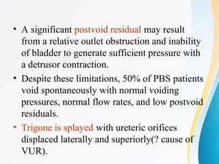 • A significant postvoid residual may result
from a relative outlet obstruction and inability
of bladder to generate sufficient pressure with
a detrusor contraction.
• Despite these limitations, 50% of PBS patients
void spontaneously with normal voiding
pressures, normal flow rates, and low postvoid
residuals.
• Trigone is splayed with ureteric orifices
displaced laterally and superiorly(? cause of
VUR).
 