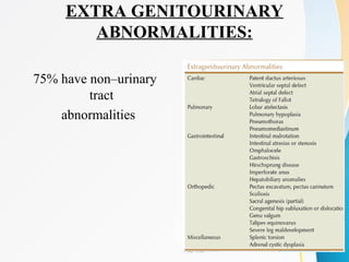 EXTRA GENITOURINARY
ABNORMALITIES:
75% have non–urinary
tract
abnormalities
 