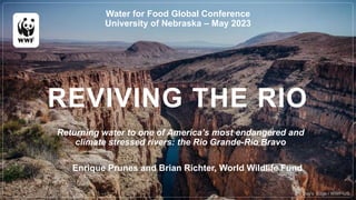 REVIVING THE RIO
Returning water to one of America’s most endangered and
climate stressed rivers: the Rio Grande-Rio Bravo
© Day's Edge / WWF-US
Water for Food Global Conference
University of Nebraska – May 2023
Enrique Prunes and Brian Richter, World Wildlife Fund
 